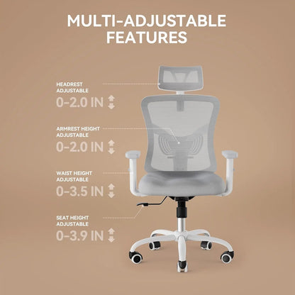 Ergonomic Office Chair with Padded Lumbar Support