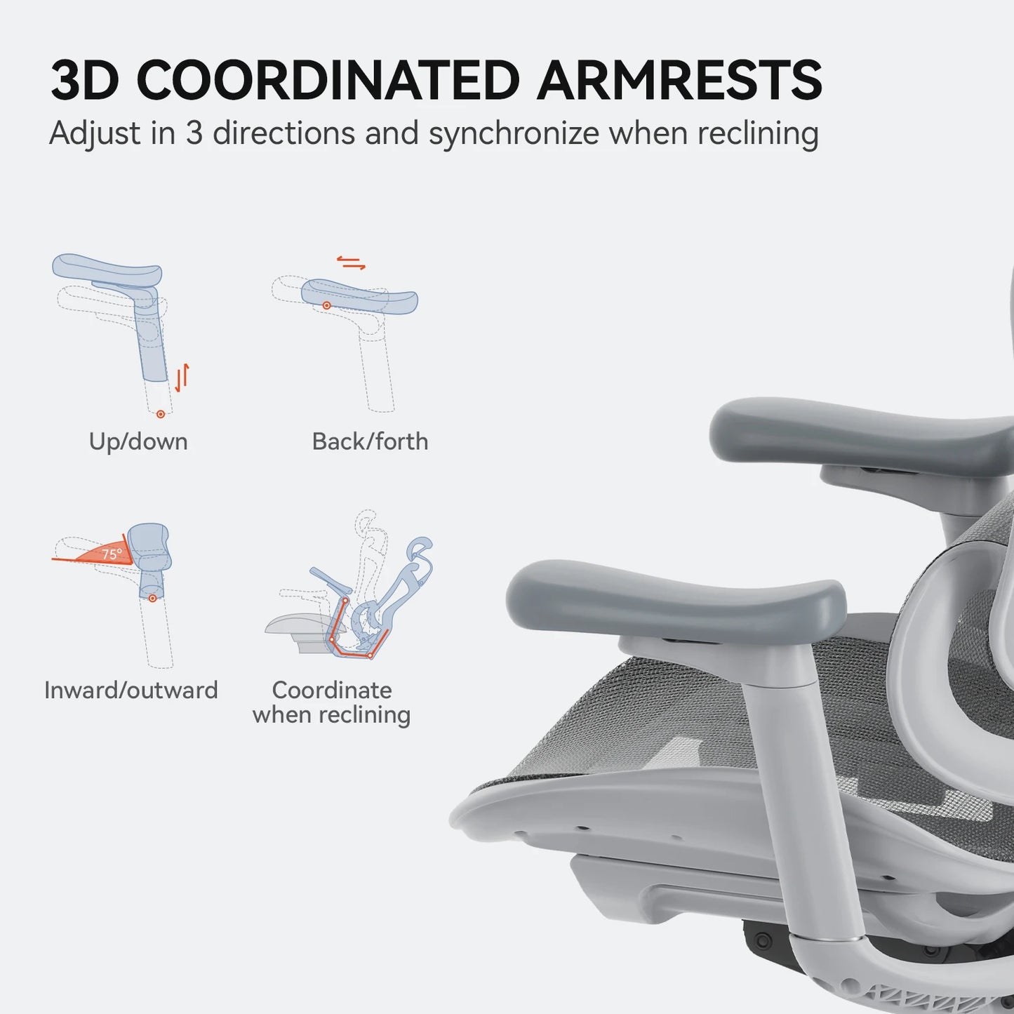 C300 Ergonomic Office Chair