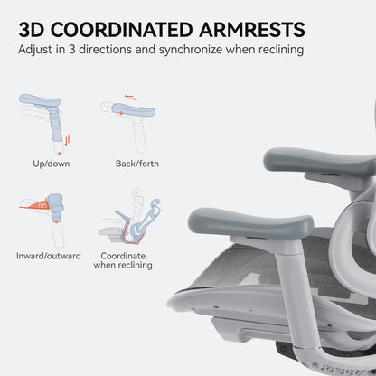 C300 Ergonomic Office Chair