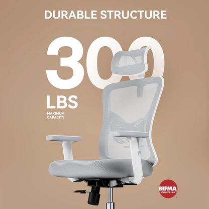 Ergonomic Office Chair with Padded Lumbar Support