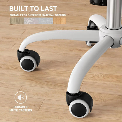 Ergonomic Office Chair with Padded Lumbar Support