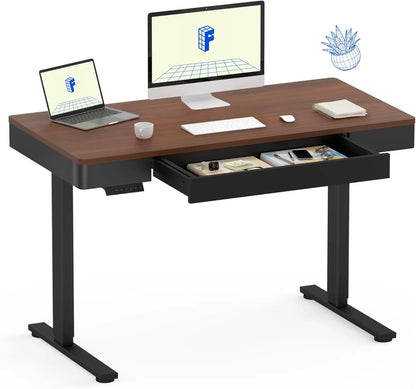 Standing Desk with Double Drawers