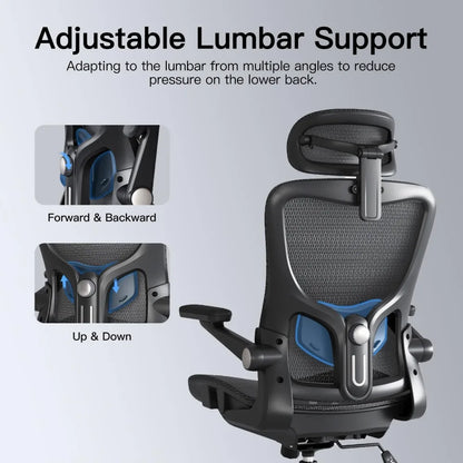 Ergonomic Office Chair