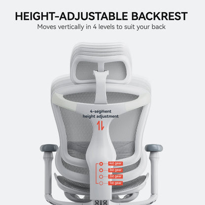 C300 Ergonomic Office Chair