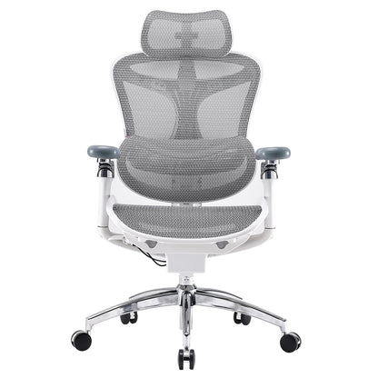 C300 Ergonomic Office Chair